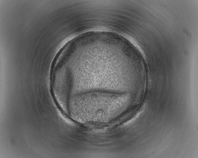 X0000111660845200907311136