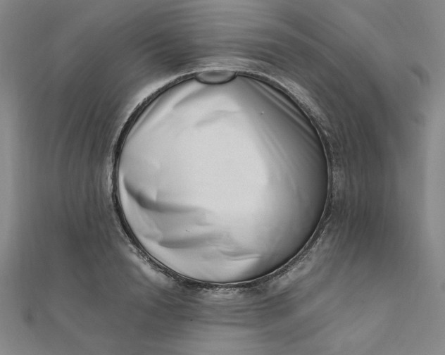 X0000111660846200907311136