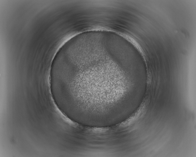 X0000111660847200907311136