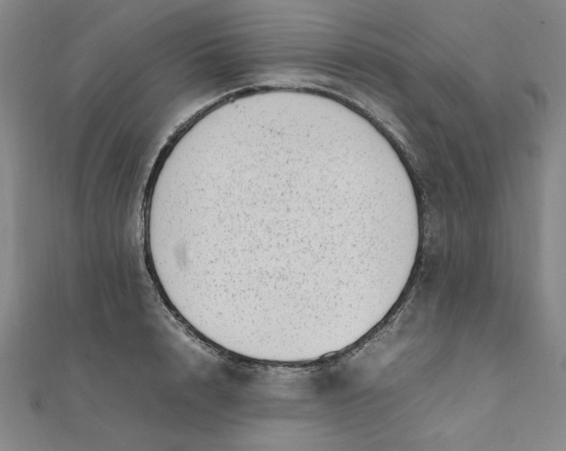 X0000111660848200907311136