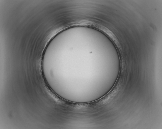 X0000111660850200907311136