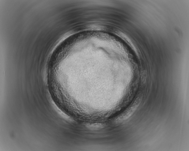 X0000111660851200907311136