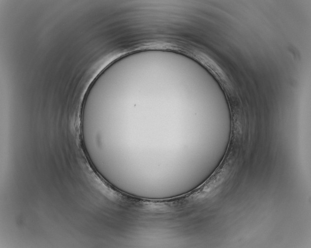 X0000111660852200907311136