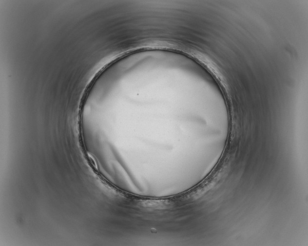 X0000111660853200907311136