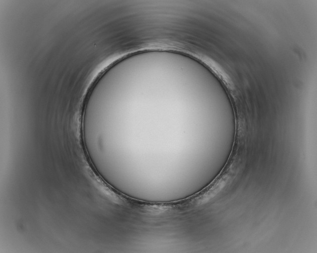 X0000111660854200907311136