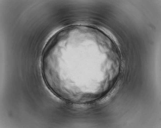 X0000111660855200907311136