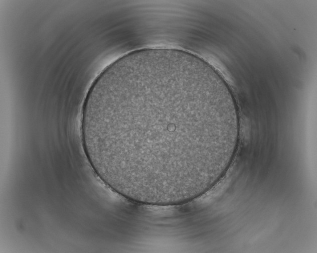 X0000111660856200907311136