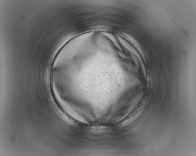 X0000111660859200907311136