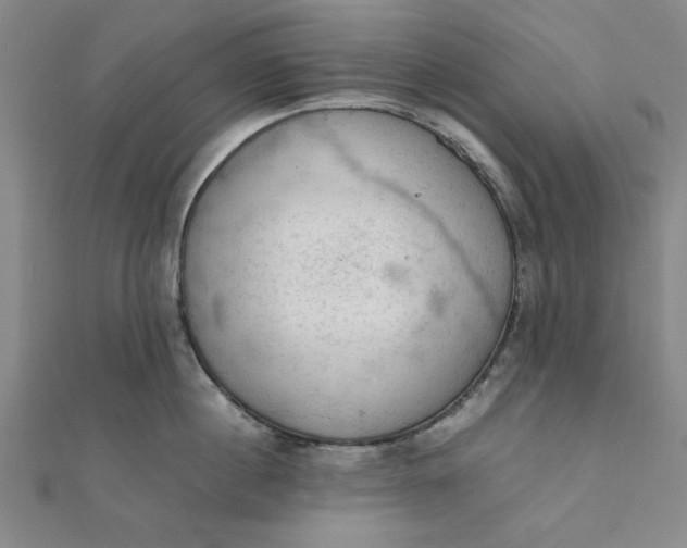 X0000111660860200907311136