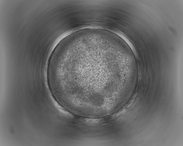 X0000111660861200907311136