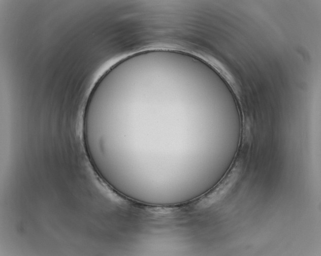 X0000111660862200907311136