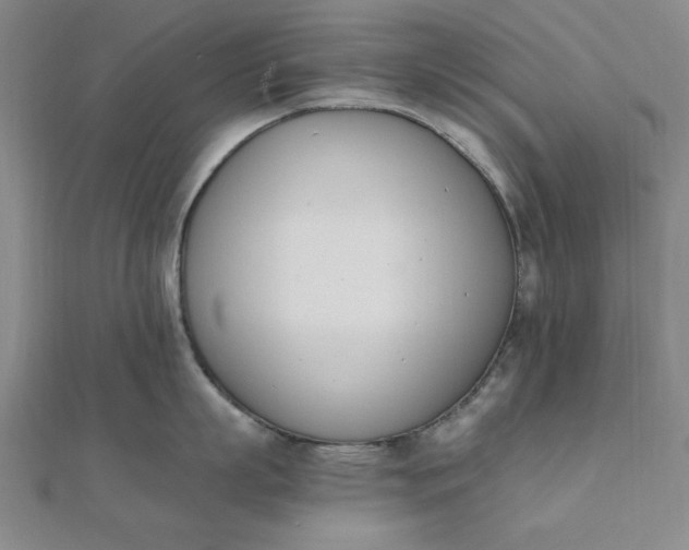 X0000111660863200907311136