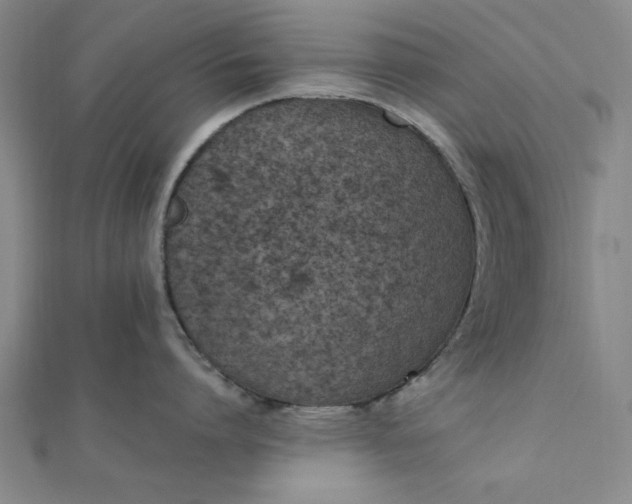 X0000111660864200907311136