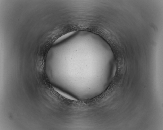 X0000111660866200907311136