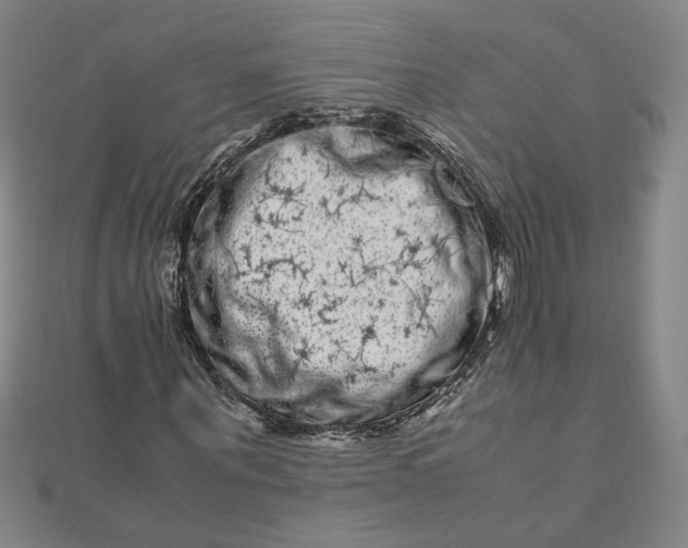 X0000111660867200907311136