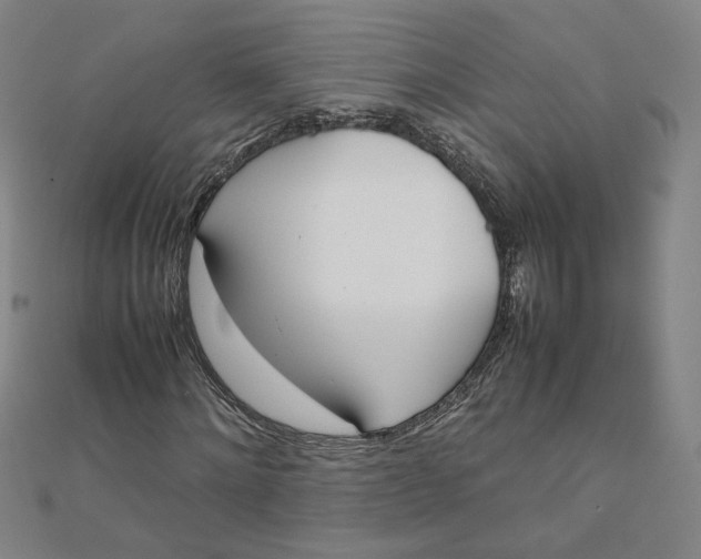 X0000111660868200907311136