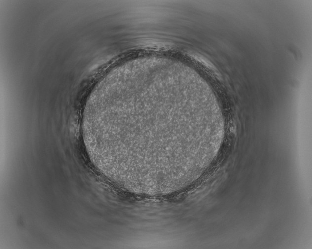 X0000111660869200907311136