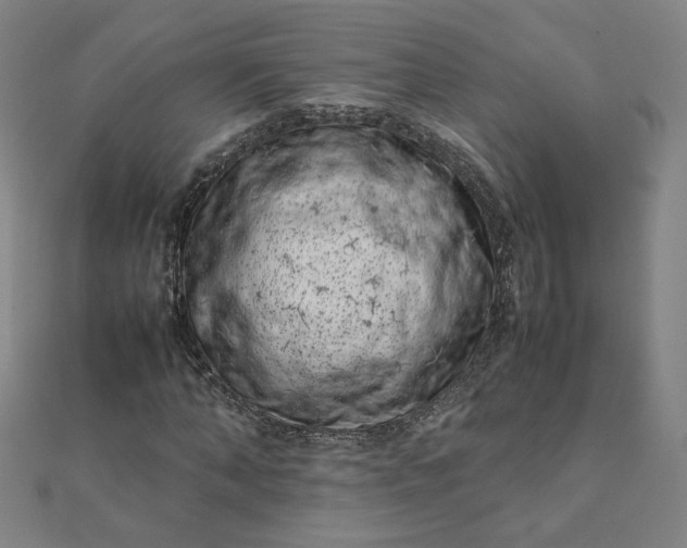 X0000111660870200907311136