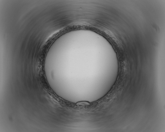 X0000111660872200907311136