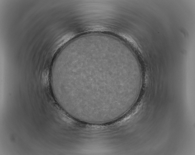 X0000111660873200907311136