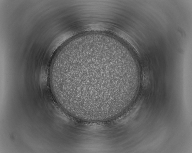 X0000111660874200907311136