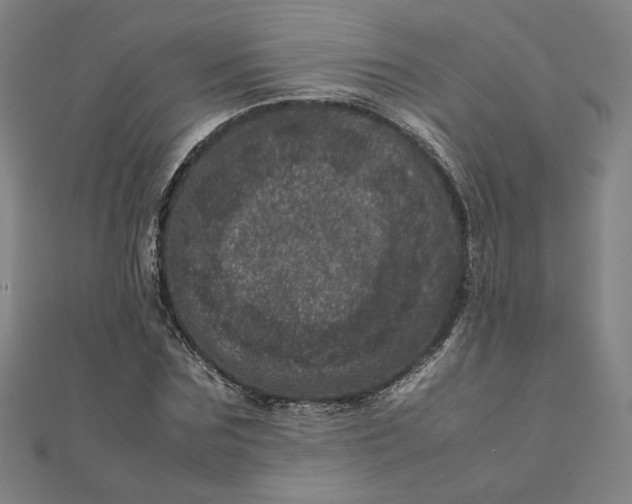 X0000111660875200907311136