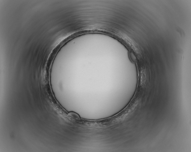 X0000111660876200907311136