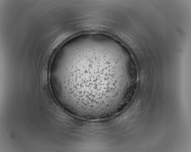 X0000111660877200907311136