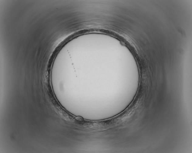 X0000111660879200907311136