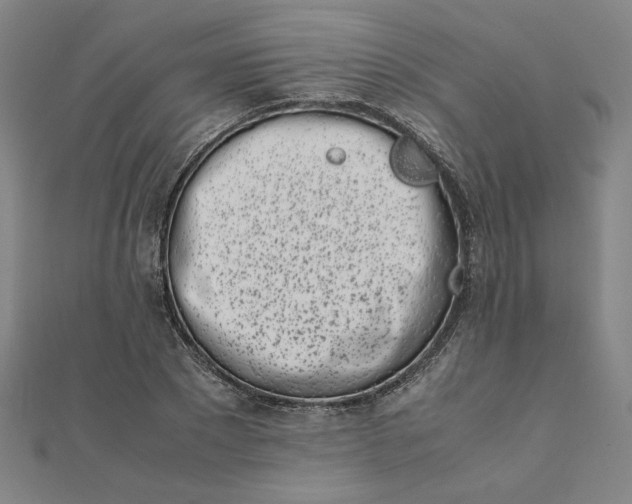 X0000111660881200907311136