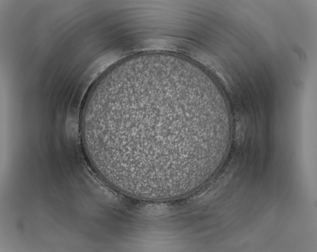 X0000111660882200907311136