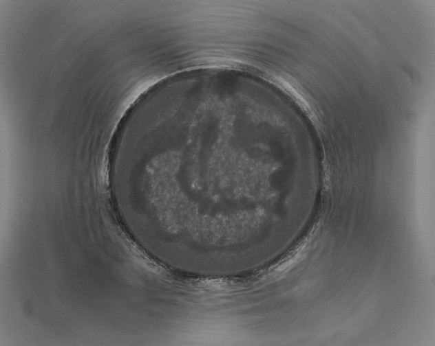 X0000111660883200907311136