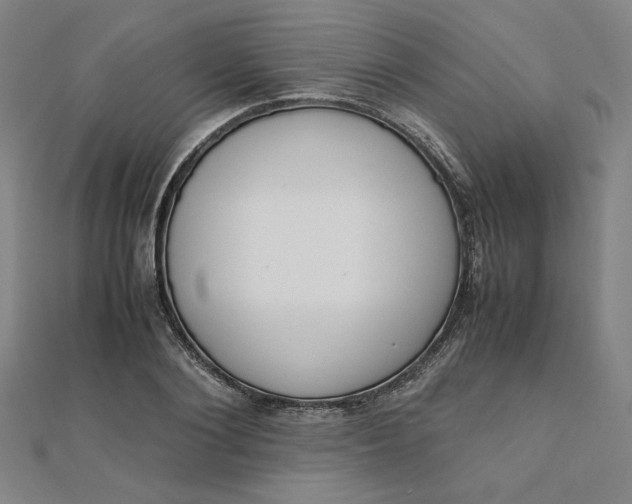 X0000111660884200907311136