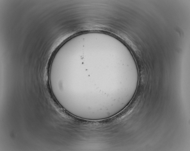 X0000111660885200907311136