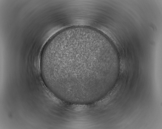 X0000111660886200907311136