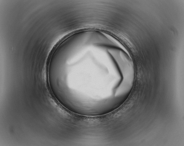 X0000111660888200907311136