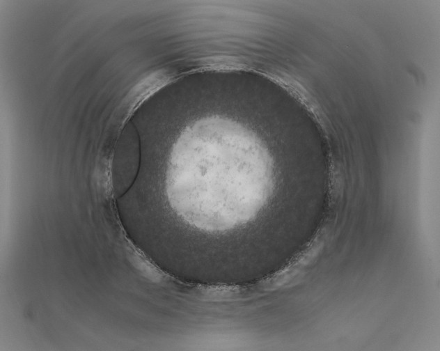 X0000111660889200907311136