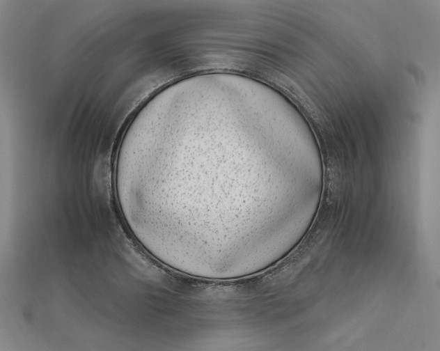 X0000111660890200907311136