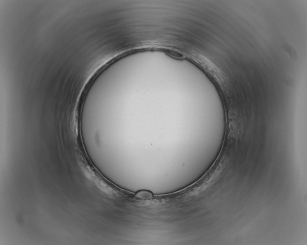 X0000111660892200907311136