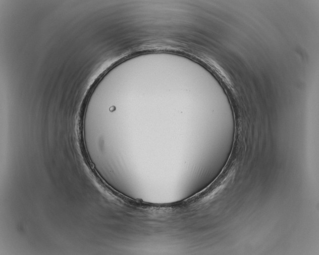 X0000111660893200907311135