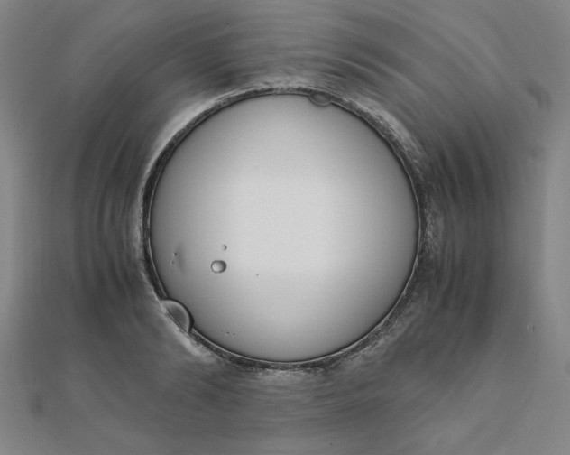 X0000111660894200907311135