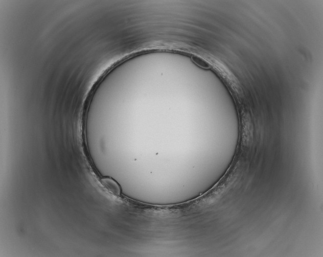 X0000111660896200907311135