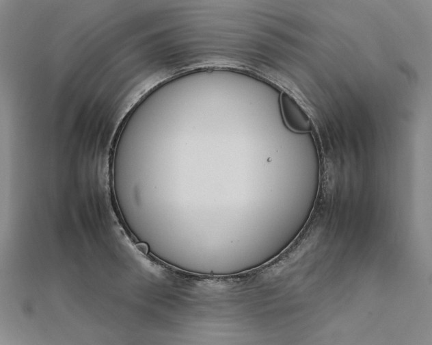 X0000111660898200907311135