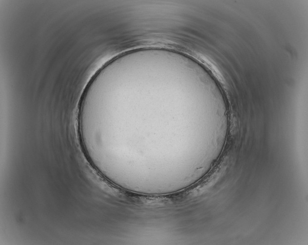 X0000111660899200907311135