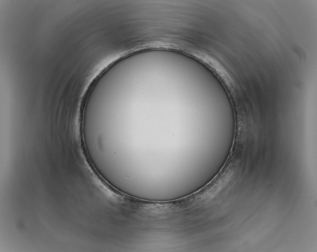 X0000111660902200907311135