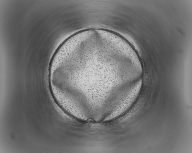 X0000111660903200907311135