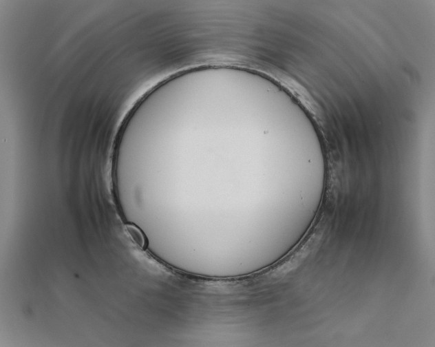 X0000111660904200907311135