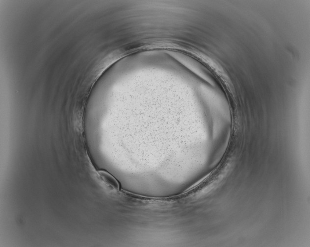 X0000111660905200907311135