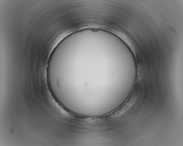 X0000111660906200907311135