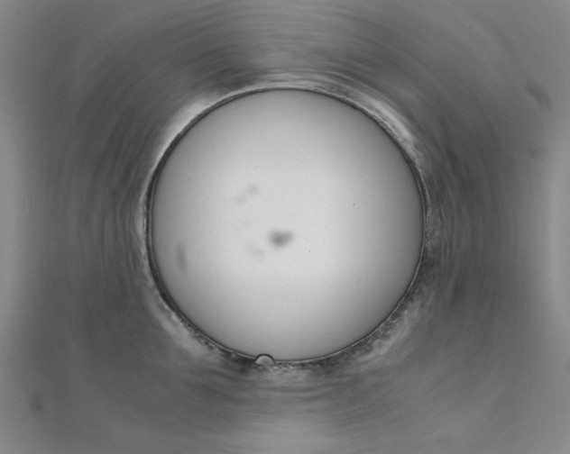 X0000111660907200907311135